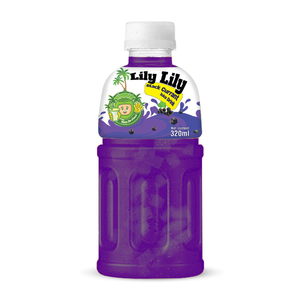 320ml TCVN Pet Bottle Black Currant Juice With Nata De Coco