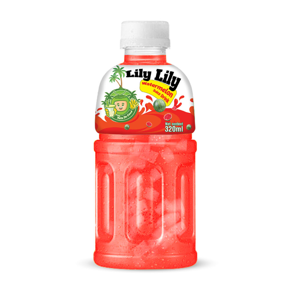 320ml TCVN Pet Bottle Watermelon Juice With Nata De Coco