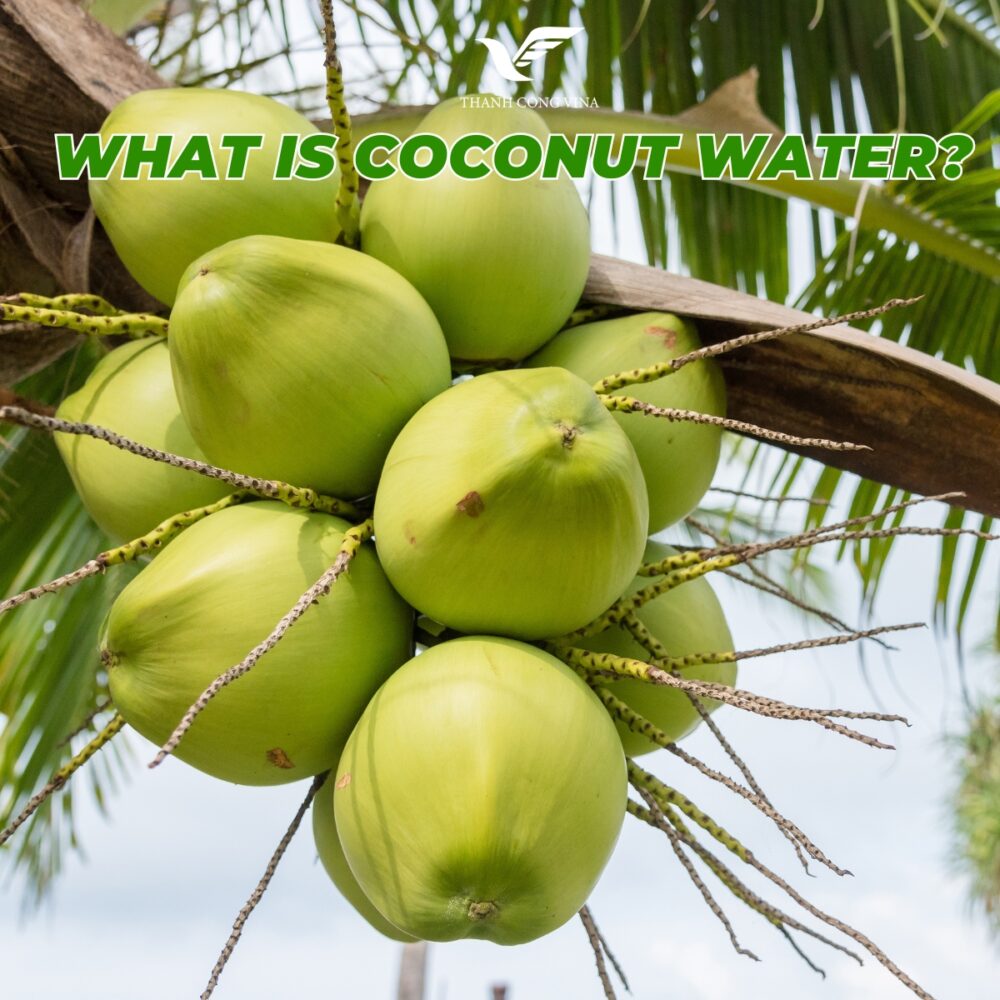 What Is Coconut Water?