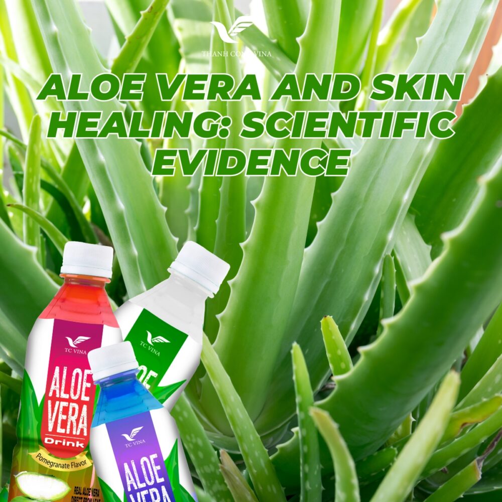 Aloe Vera and Skin Healing: Scientific Evidence