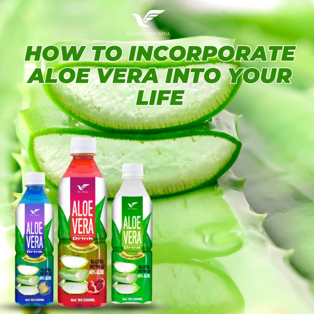 How to Incorporate Aloe Vera into Your Life
