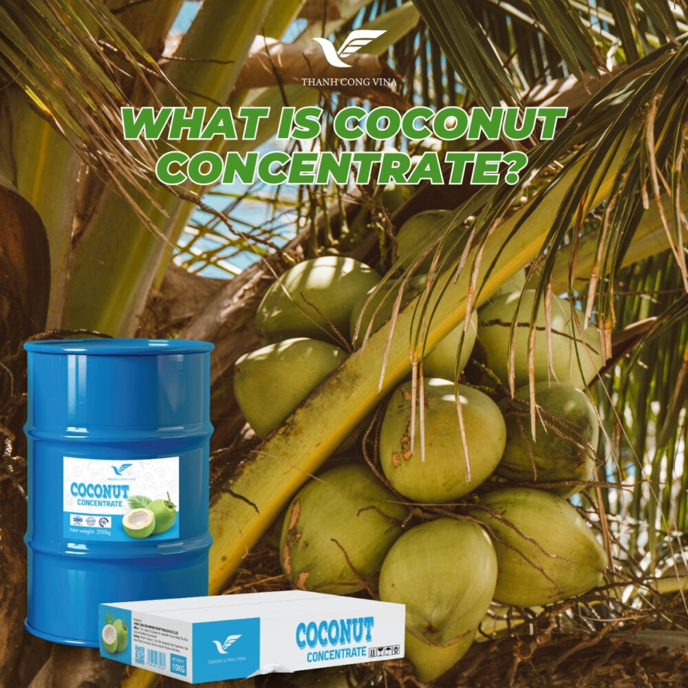 What Is Coconut Concentrate?