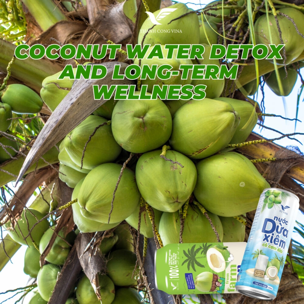 Coconut Water Detox and Long-Term Wellness