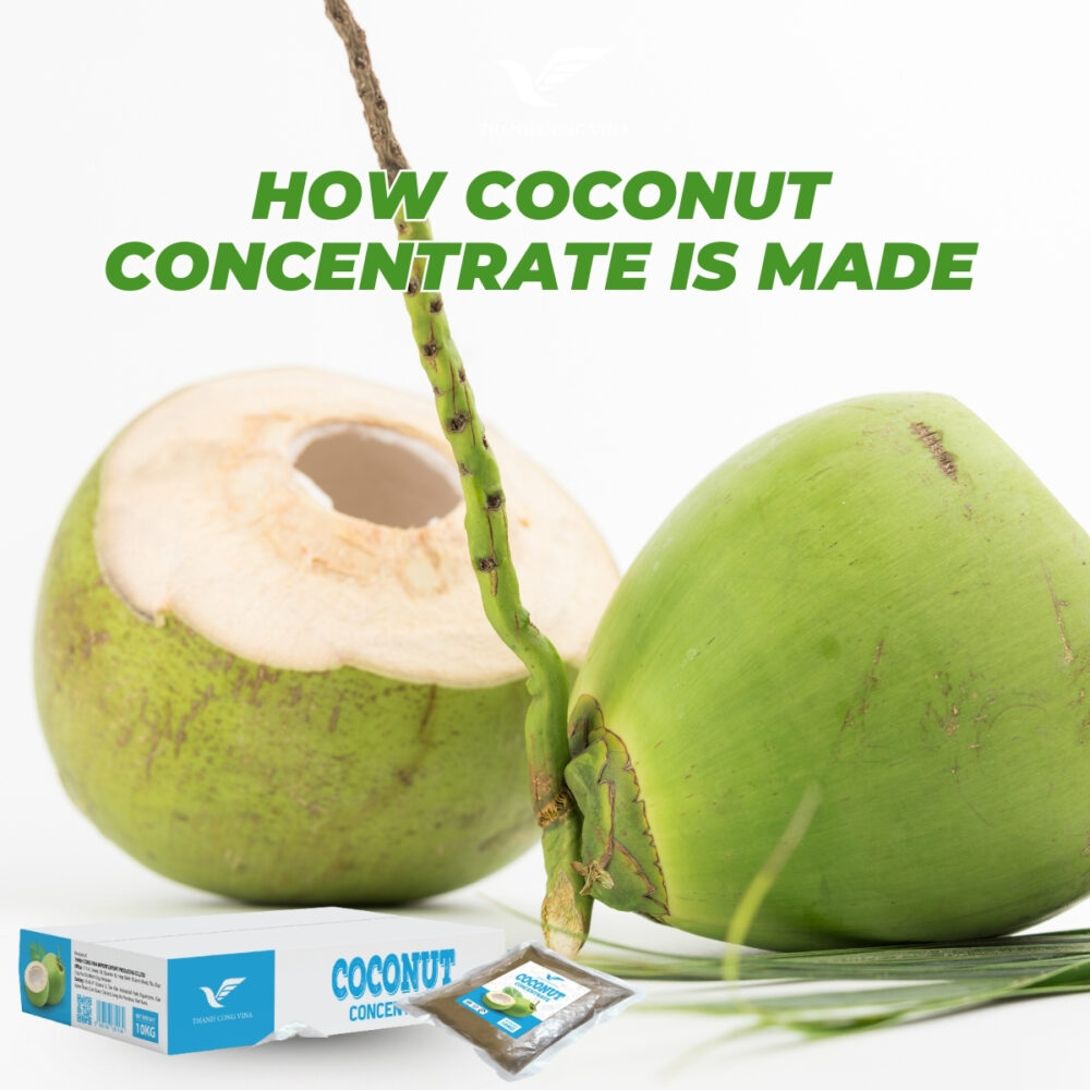 How Coconut Concentrate Is Made