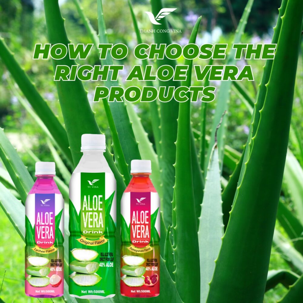 How to Choose the Right Aloe Vera Products