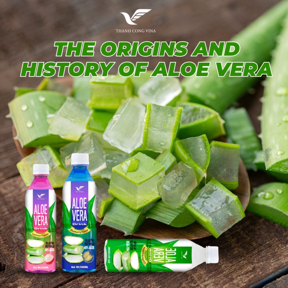 The Origins and History of Aloe Vera