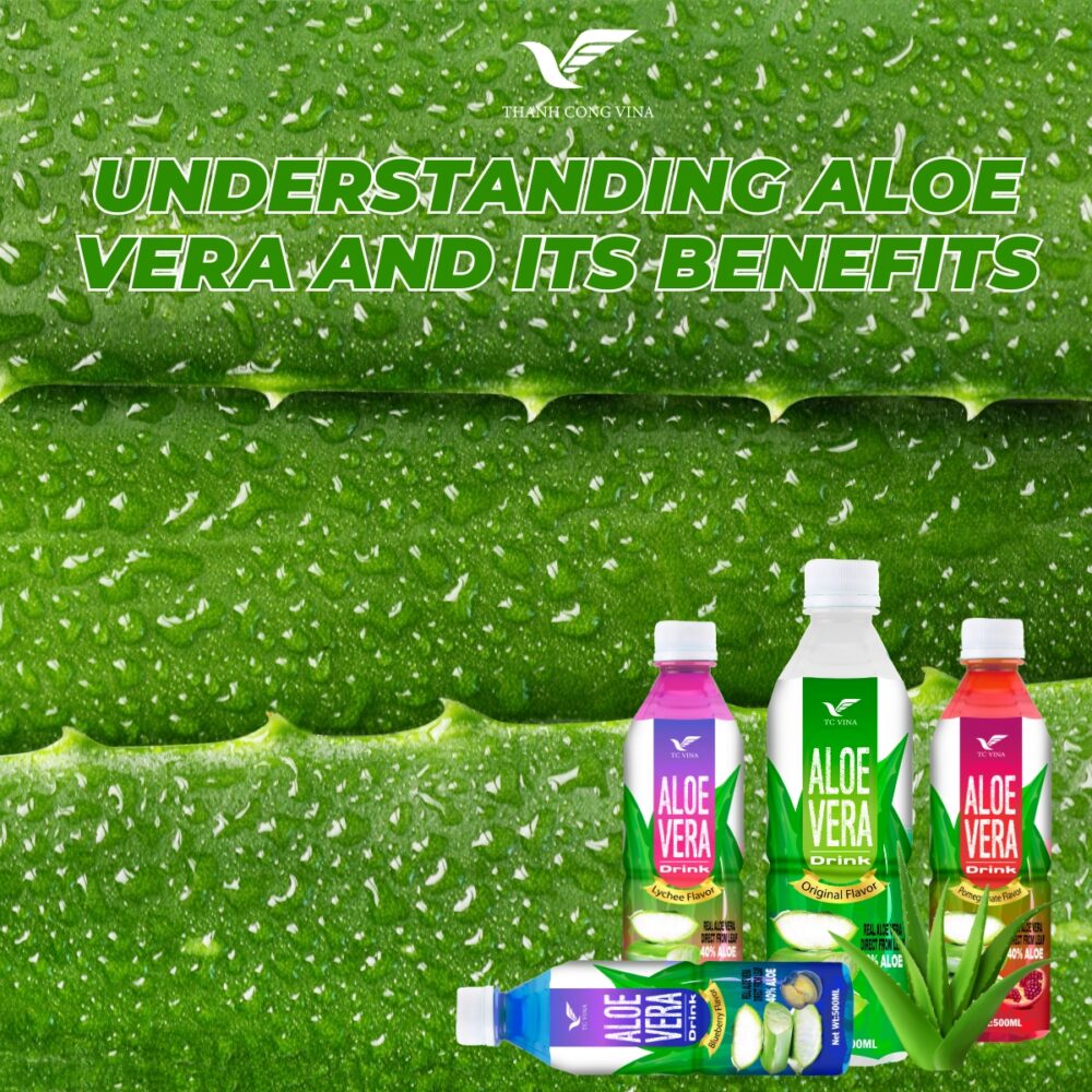 Understanding Aloe Vera and Its Benefits
