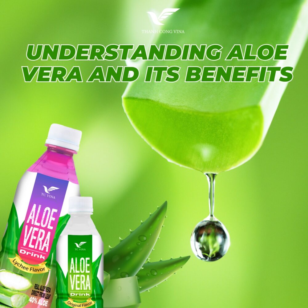 Understanding Aloe Vera and Its Benefits
