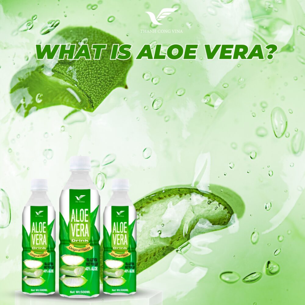 What Is Aloe Vera?