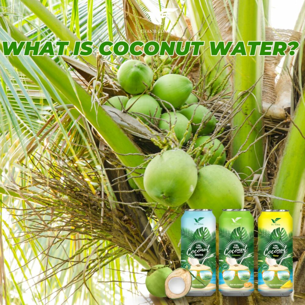 What Is Coconut Water?