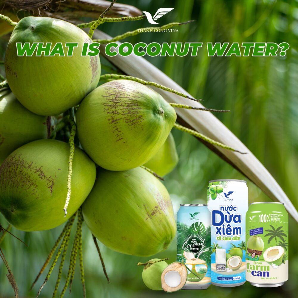 What Is Coconut Water?
