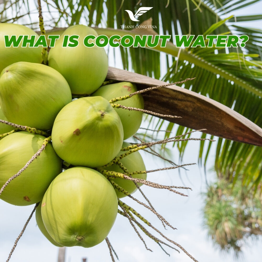What Is Coconut Water?