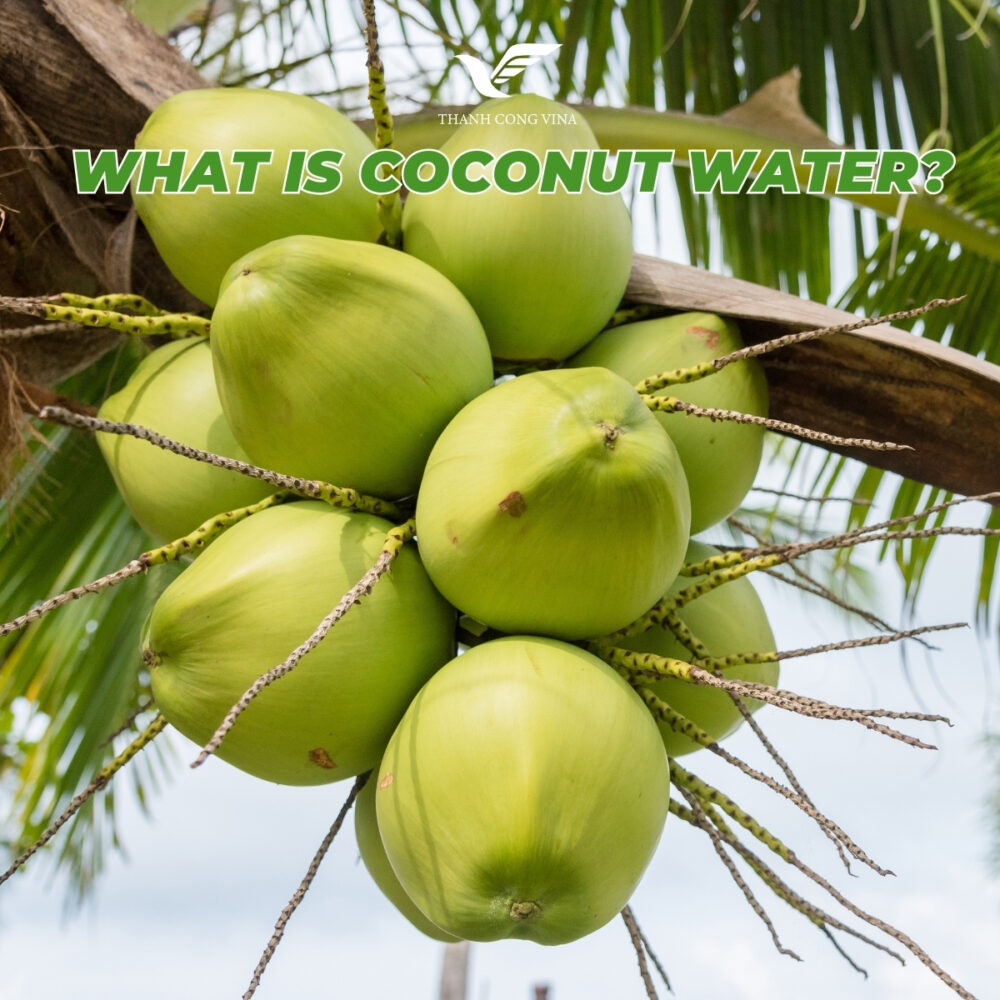 What Is Coconut Water?