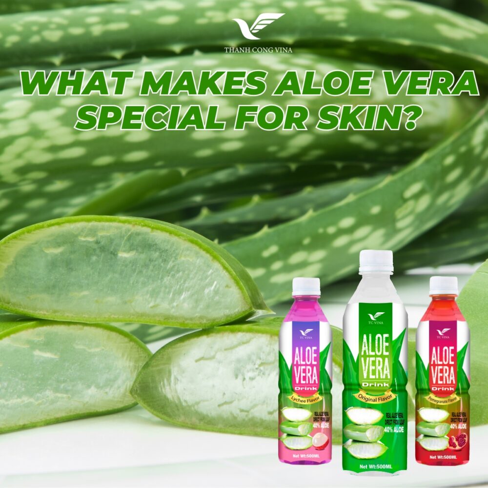 What Makes Aloe Vera Special for Skin?