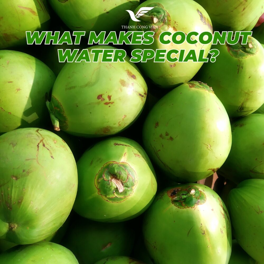 What Makes Coconut Water Special?