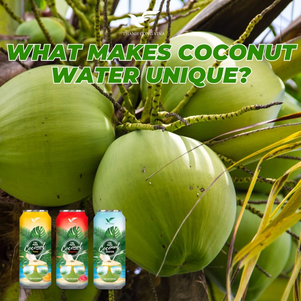 What Makes Coconut Water Unique?