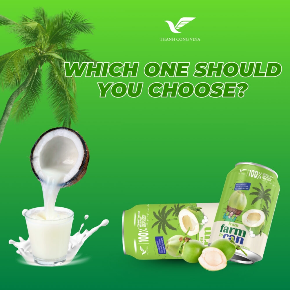 Which One Should You Choose?