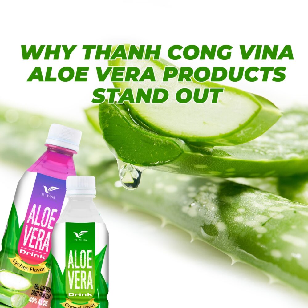 Why Thanh Cong Vina Aloe Vera Products Stand Out