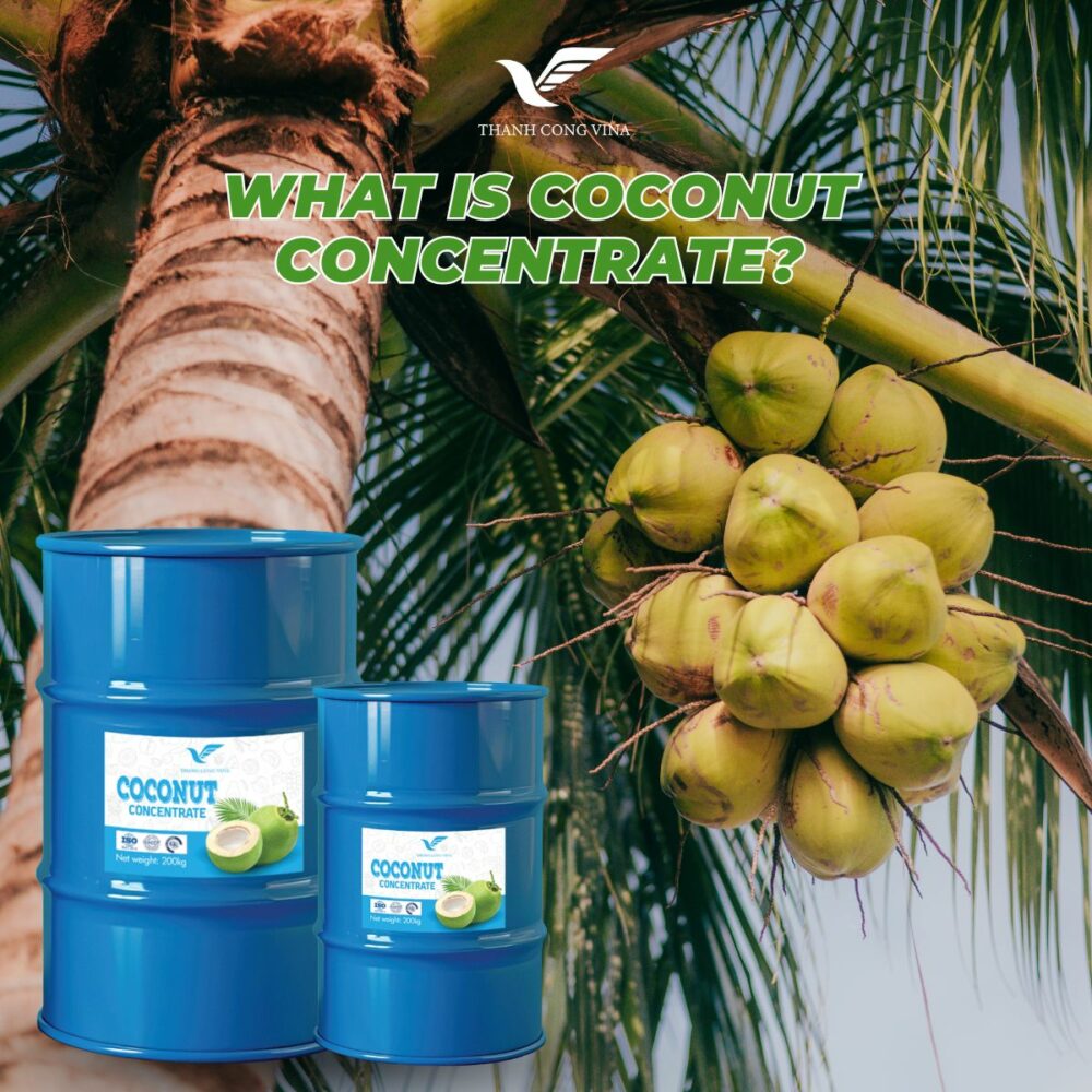 What Is Coconut Concentrate?