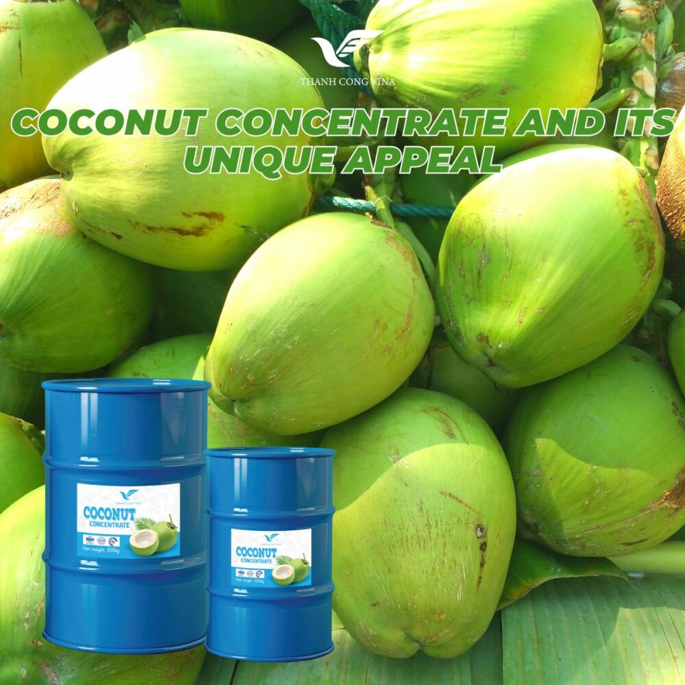 Coconut Concentrate and Its Unique Appeal