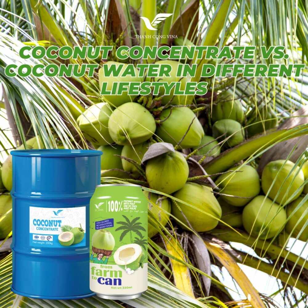 Coconut Concentrate vs. Coconut Water in Different Lifestyles