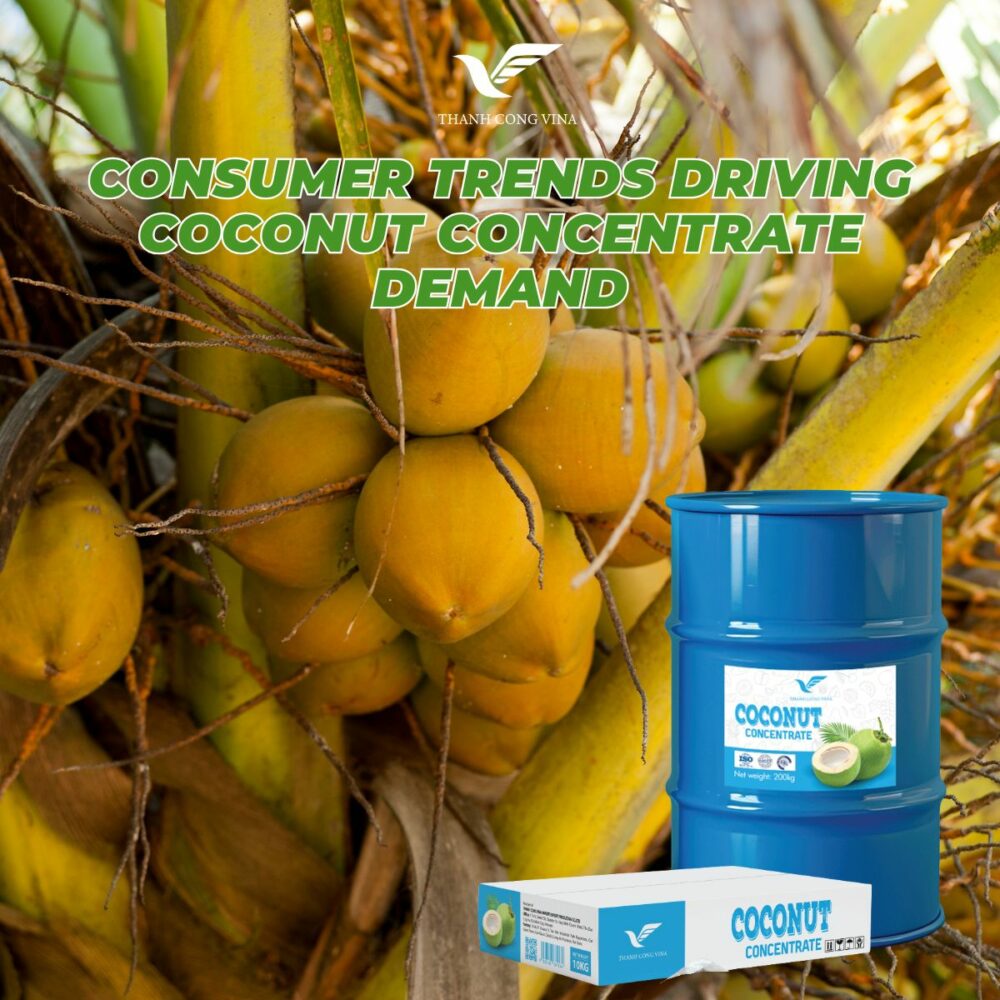 Consumer Trends Driving Coconut Concentrate Demand
