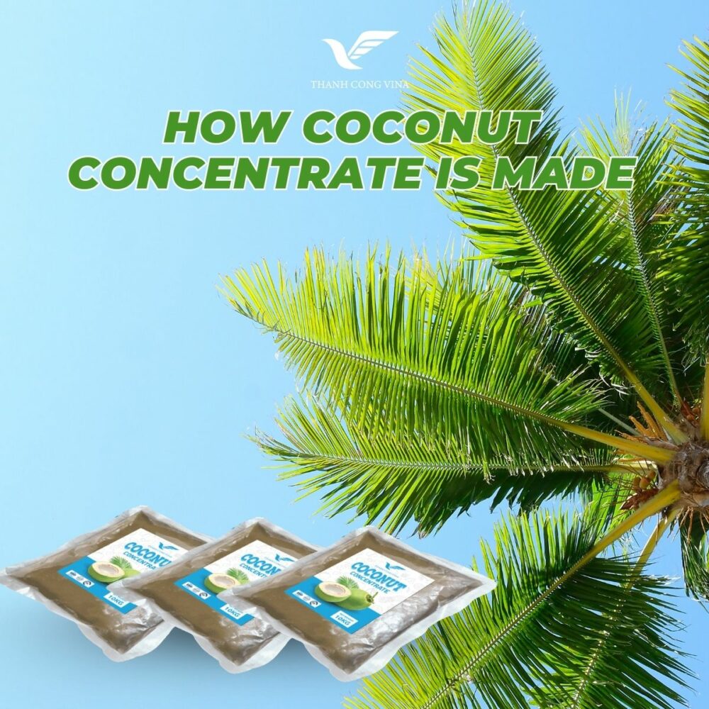 How Coconut Concentrate Is Made