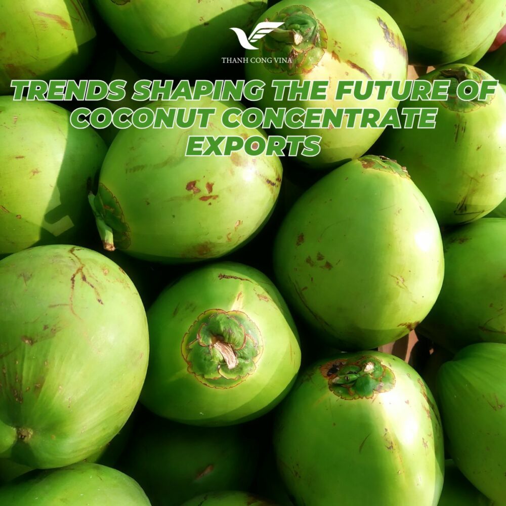 Trends Shaping the Future of Coconut Concentrate Exports