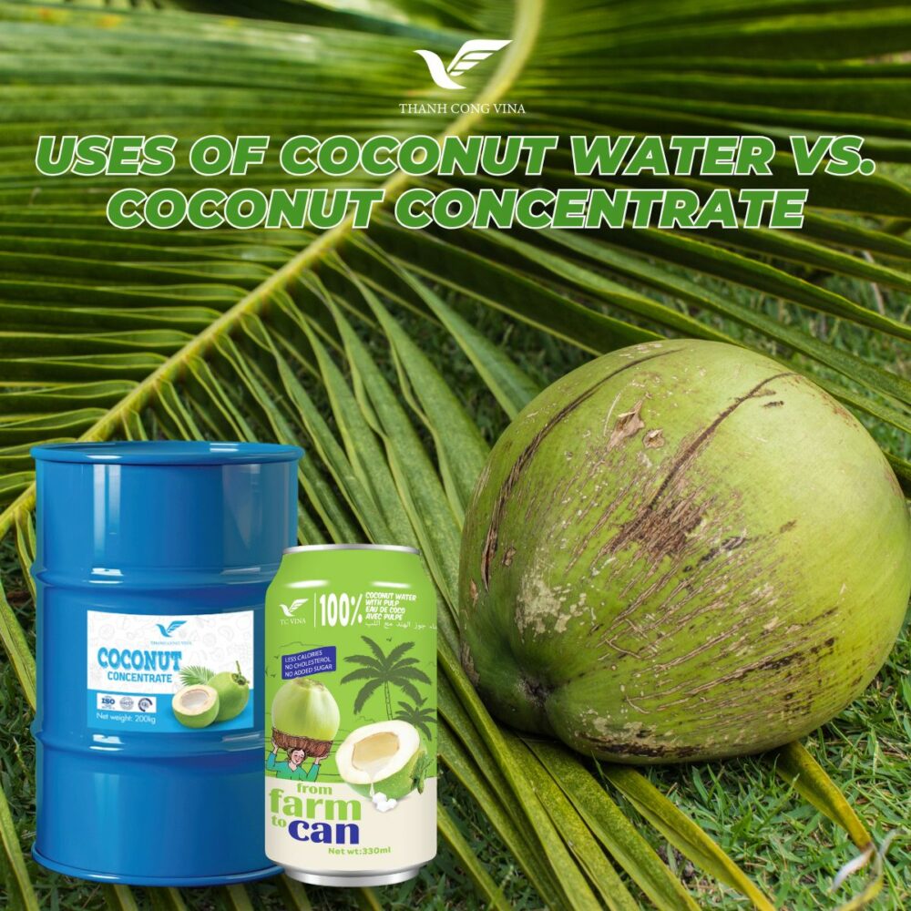 Uses of Coconut Water vs. Coconut Concentrate