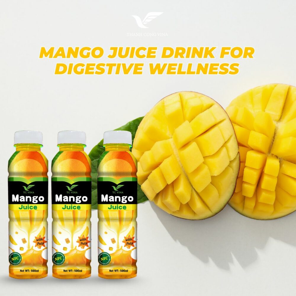 Mango Juice Drink for Digestive Wellness