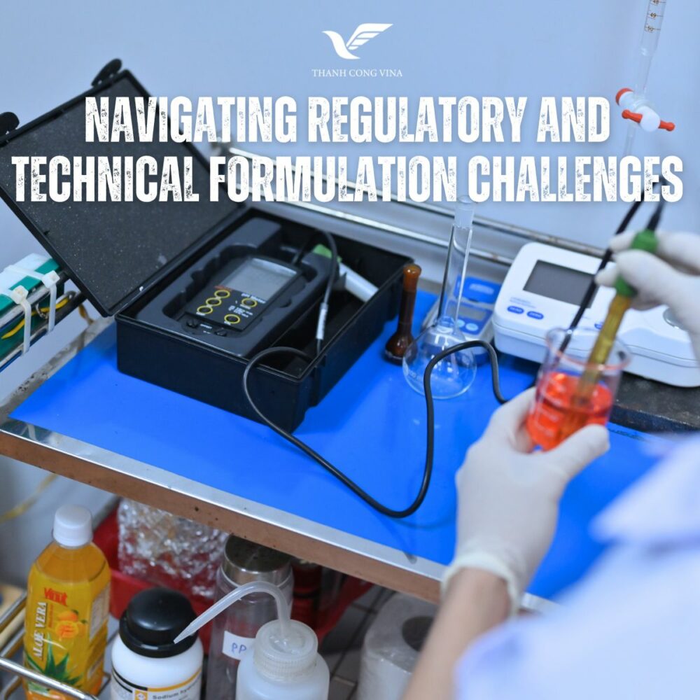 Navigating Regulatory and Technical Formulation Challenge