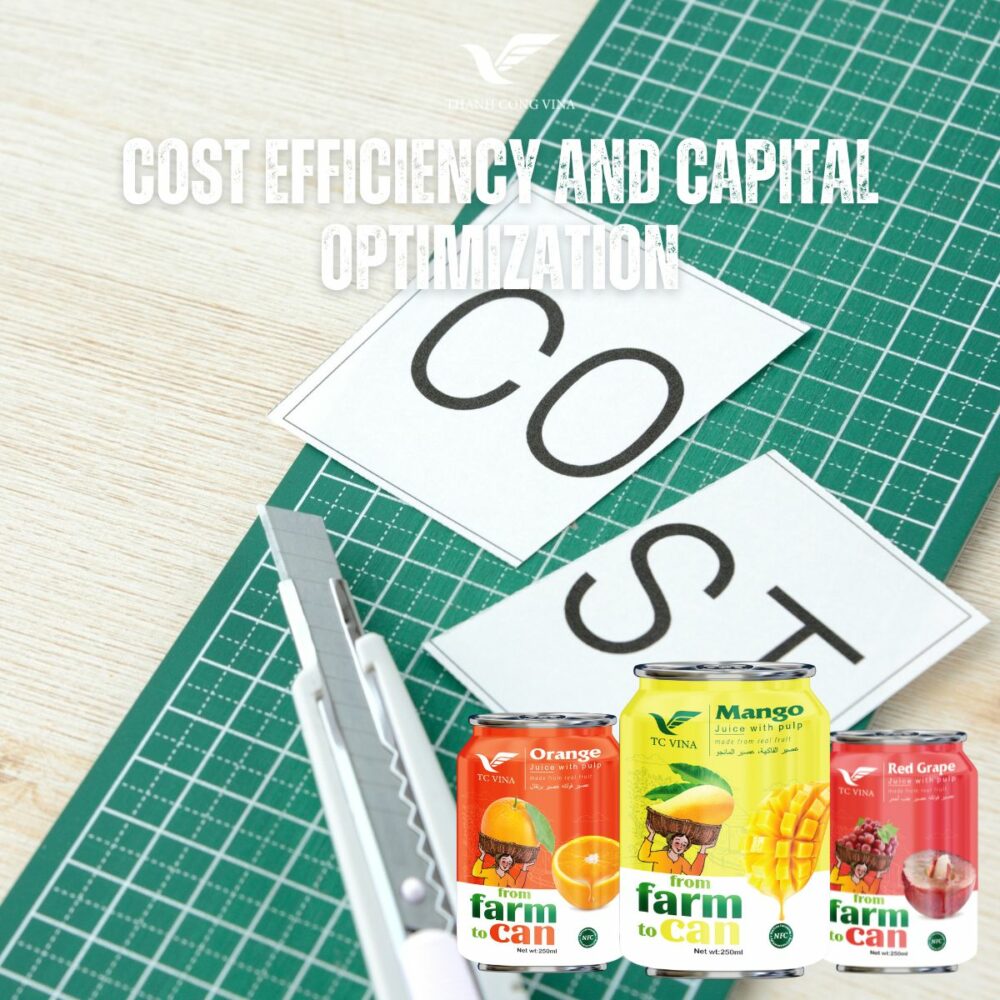 Cost Efficiency and Capital Optimization