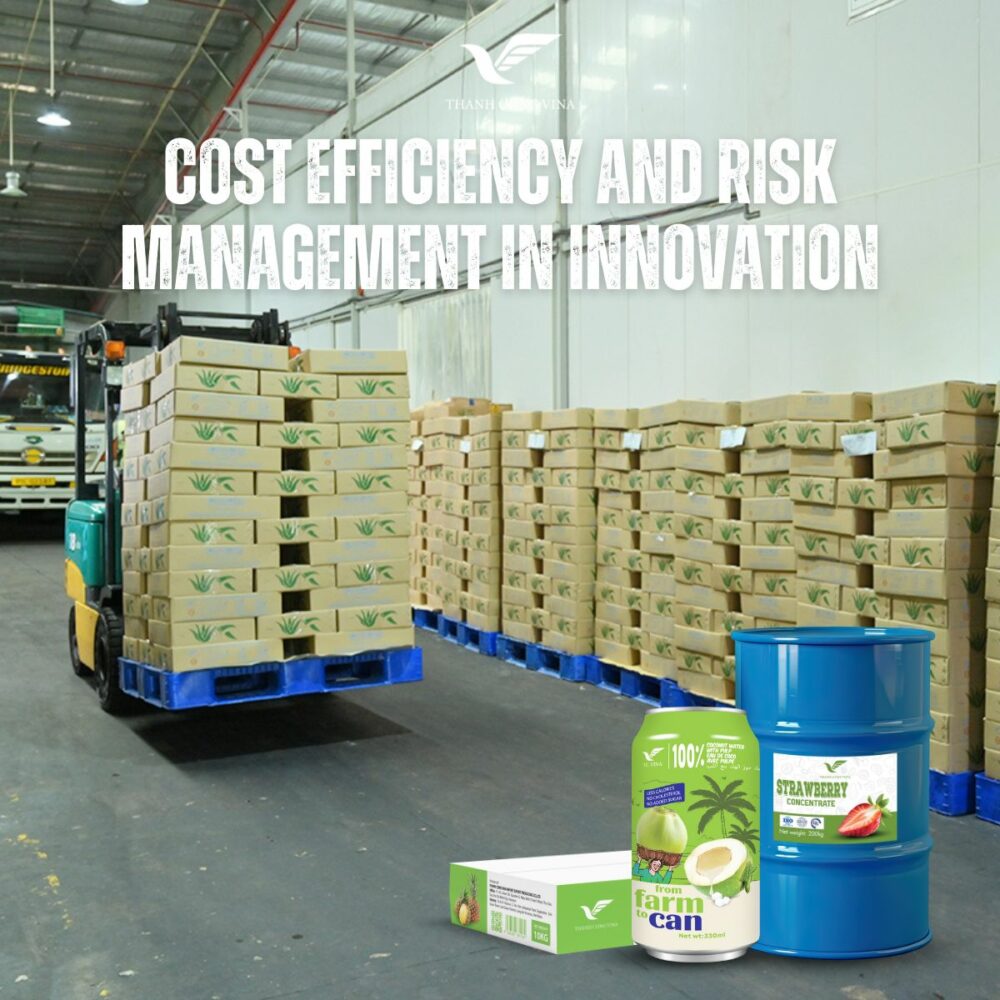 Cost Efficiency and Risk Management in Innovation