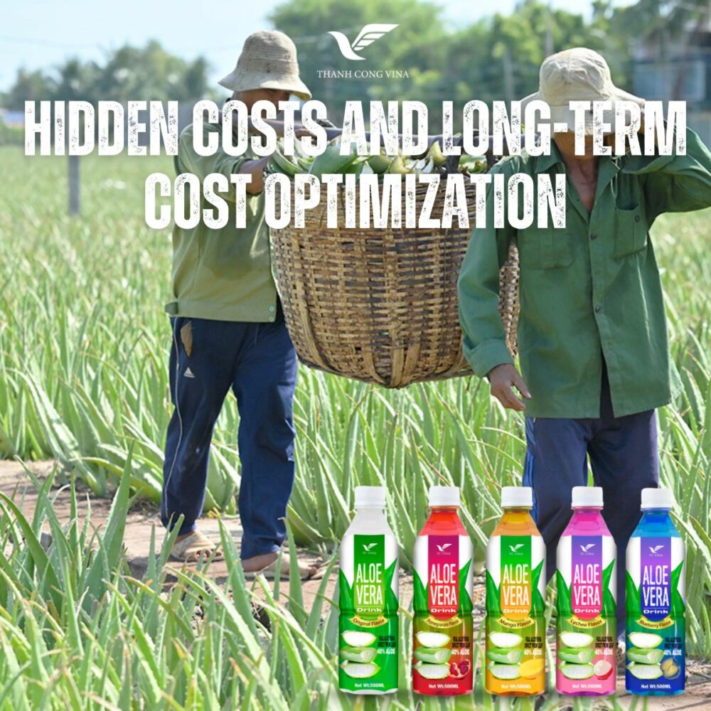 Hidden Costs and Long-Term Cost Optimization