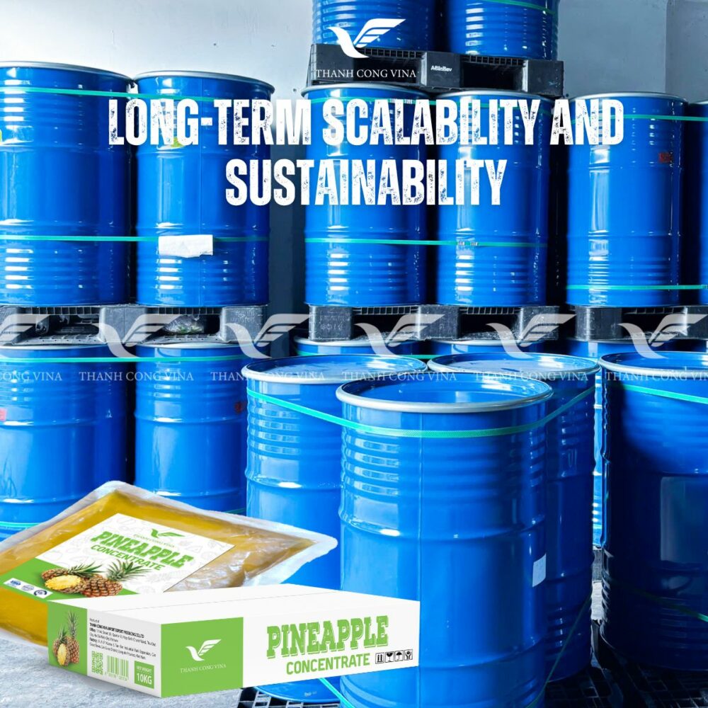 Long-Term Scalability and Sustainability