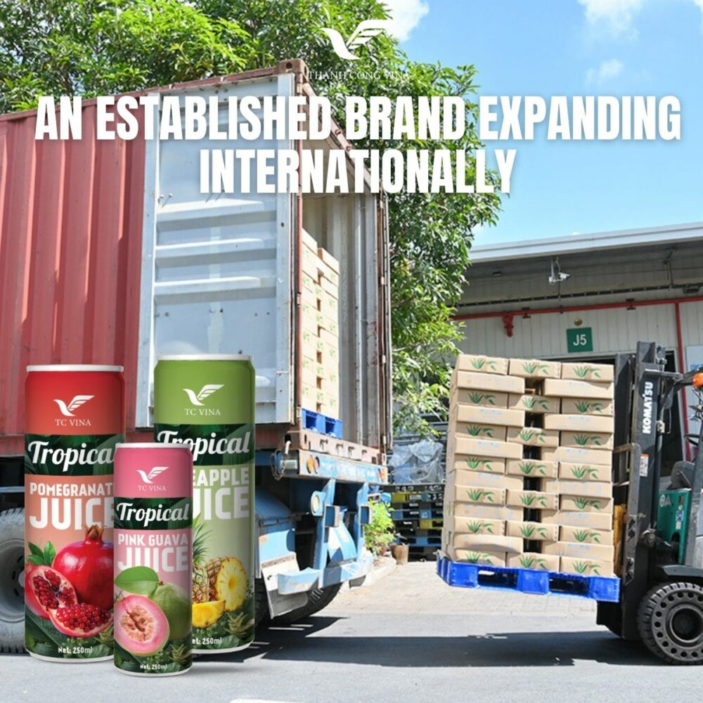 An Established Brand Expanding Internationally