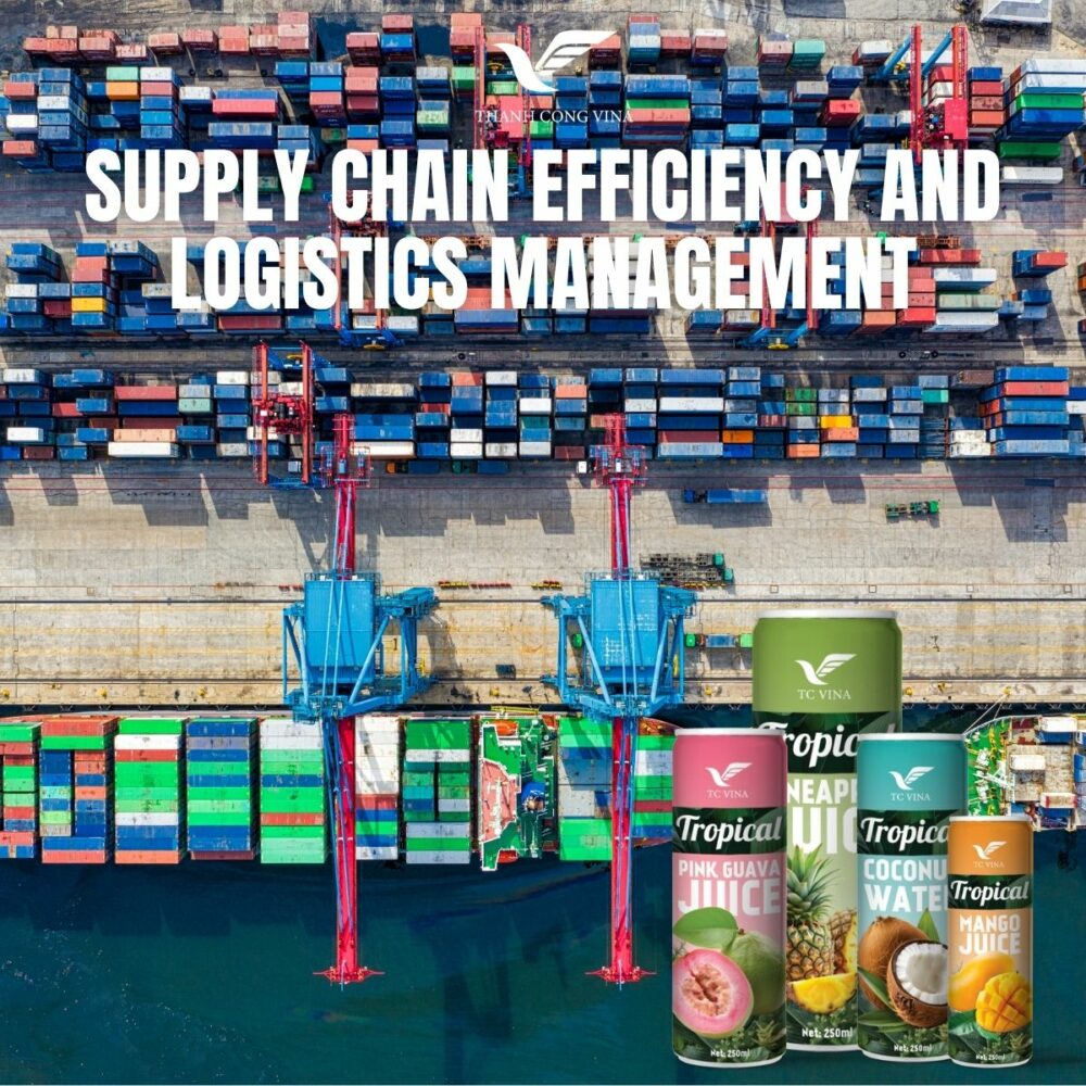 Supply Chain Efficiency and Logistics Management