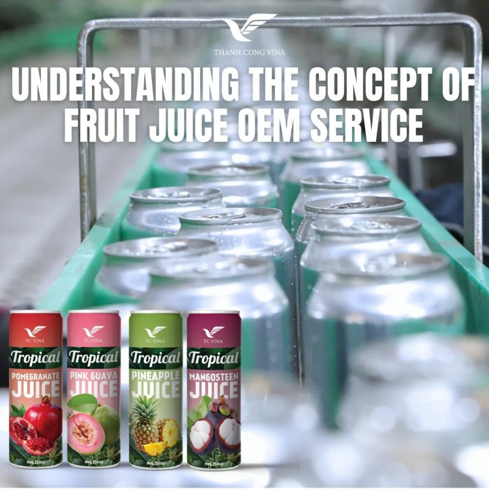Understanding the Concept of Fruit Juice OEM Service