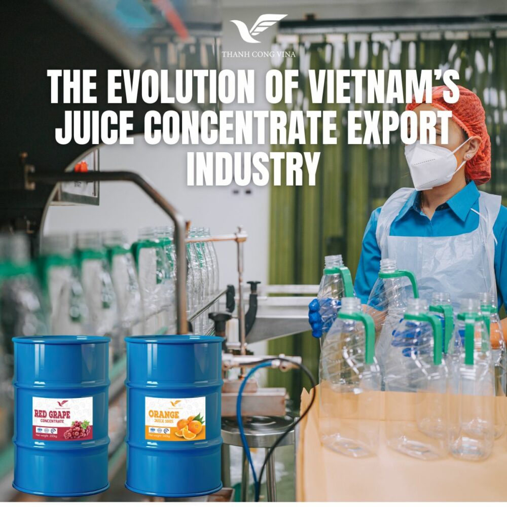 The Evolution of Vietnam’s Juice Concentrate Export Industry