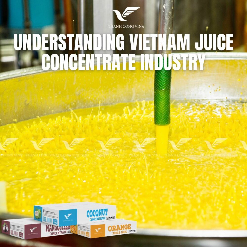 Understanding Vietnam Juice Concentrate Industry