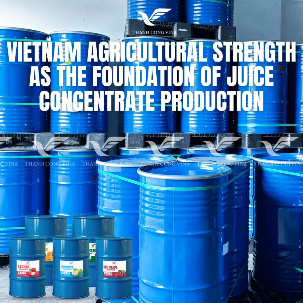 Vietnam Agricultural Strength as the Foundation of Juice Concentrate Production