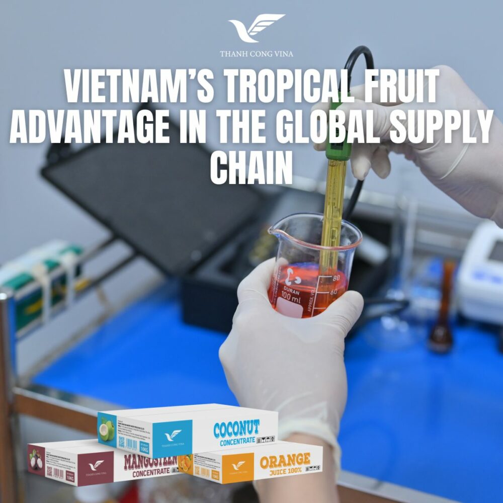 Vietnam’s Tropical Fruit Advantage in the Global Supply Chain