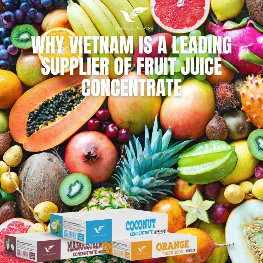 Why Vietnam Is a Leading Supplier of Fruit Juice Concentrate