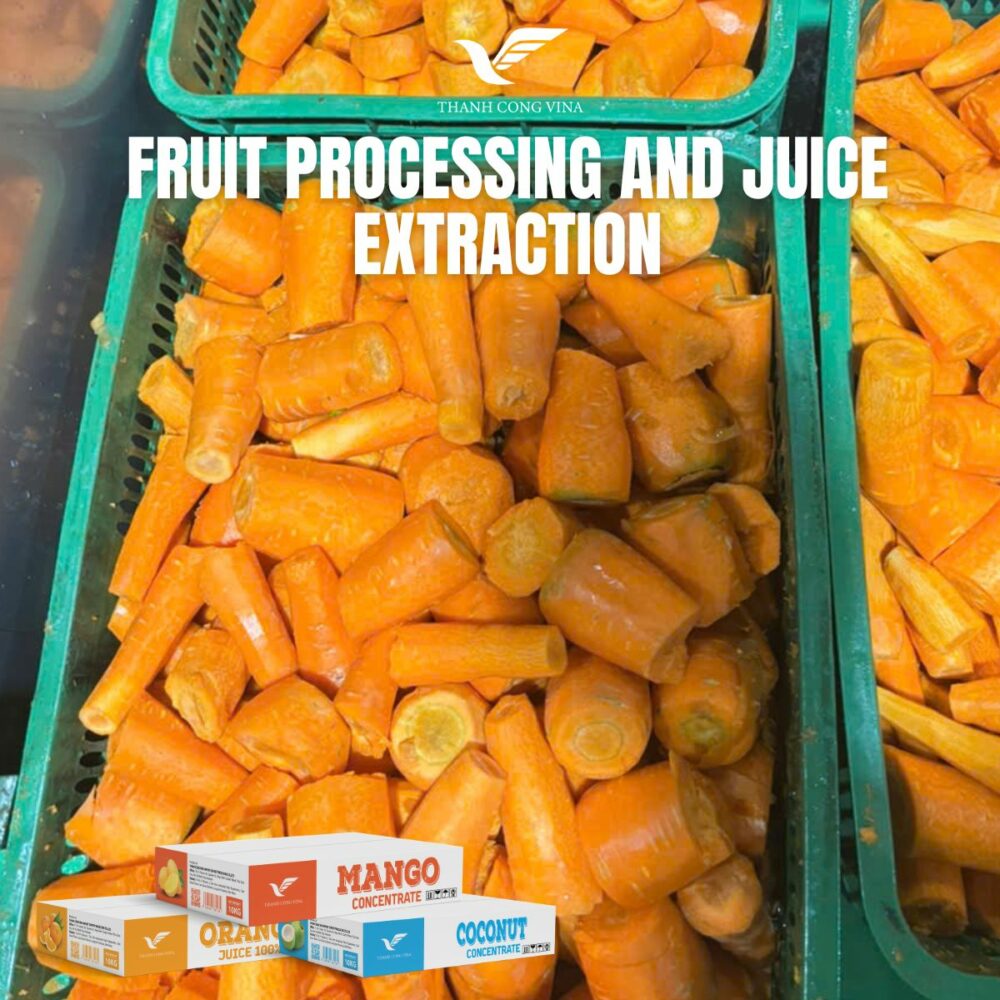 Fruit Processing and Juice Extraction