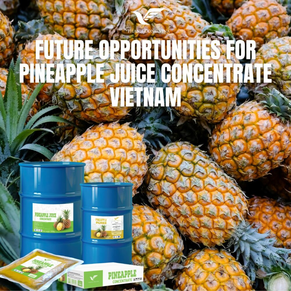 Future Opportunities for Pineapple Juice Concentrate Vietnam