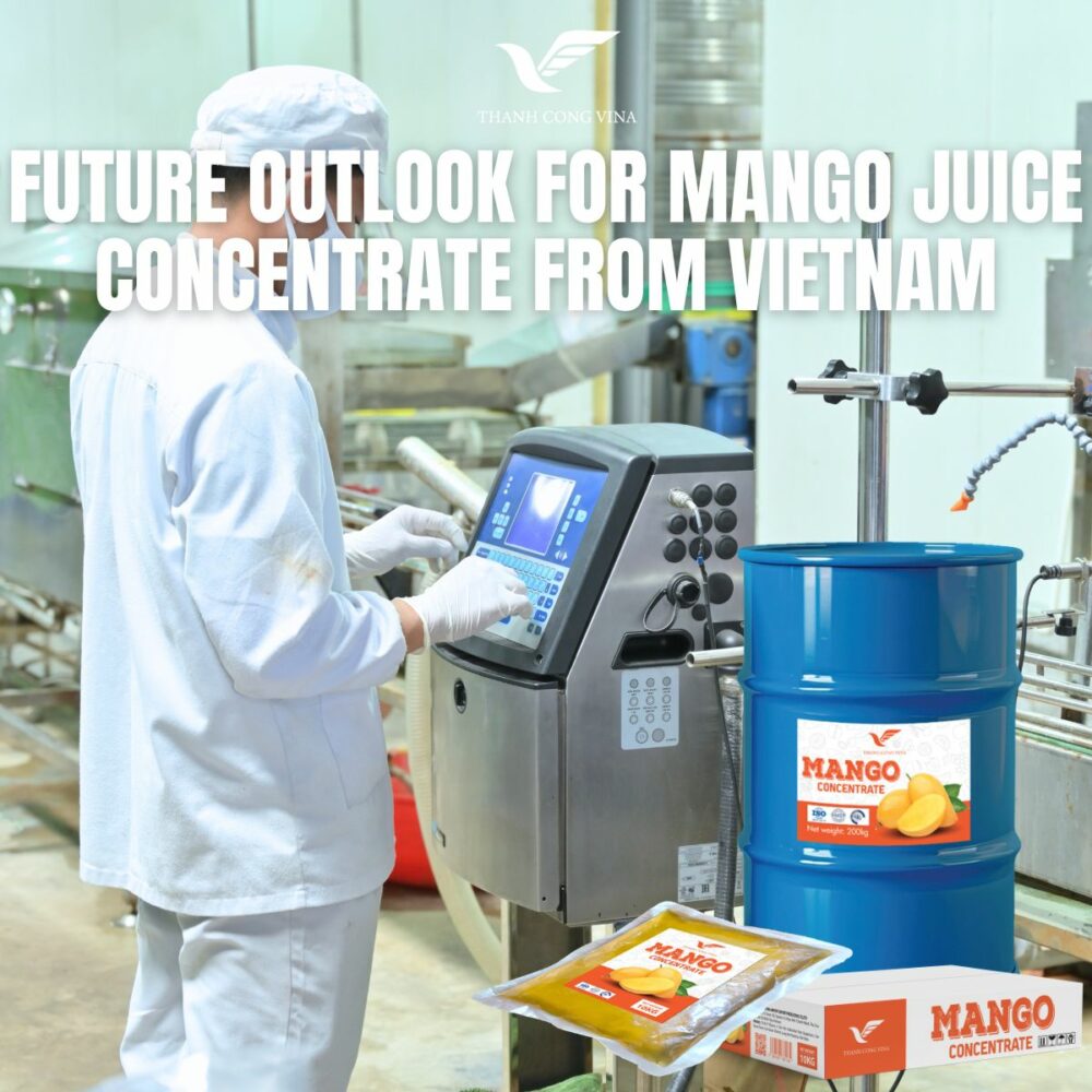 Future Outlook for Mango Juice Concentrate from Vietnam