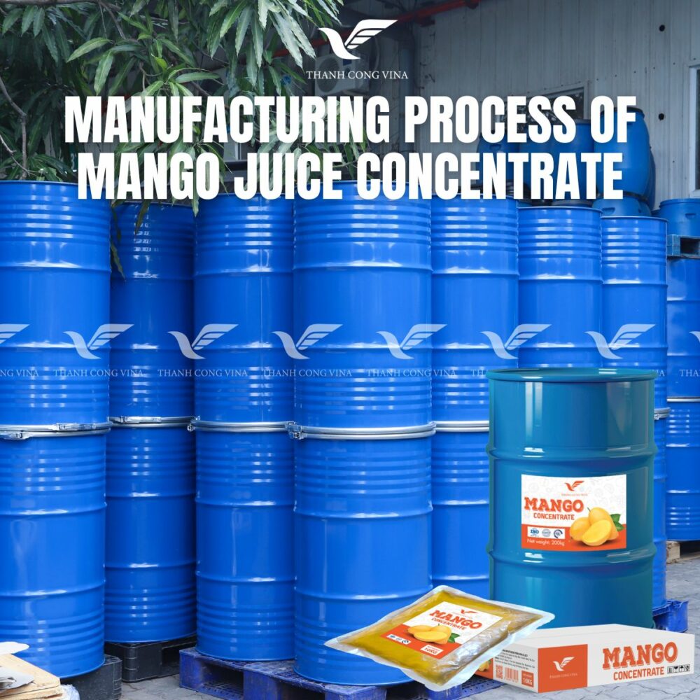 Manufacturing Process of Mango Juice Concentrate