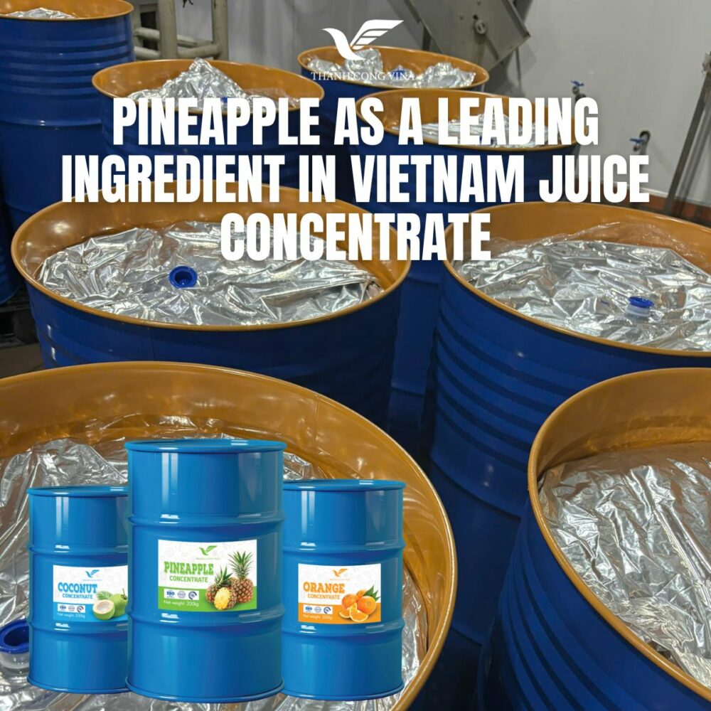 Pineapple as a Leading Ingredient in Vietnam Juice Concentrate