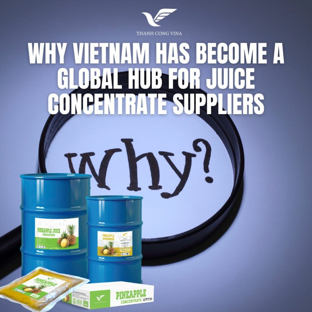 Why Vietnam Has Become a Global Hub for Juice Concentrate Suppliers