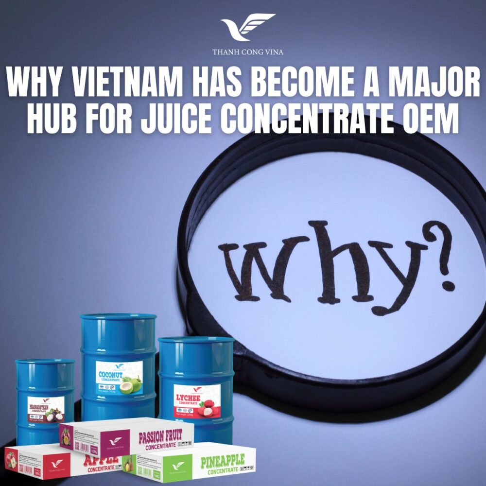 Why Vietnam Has Become a Major Hub for Juice Concentrate OEM